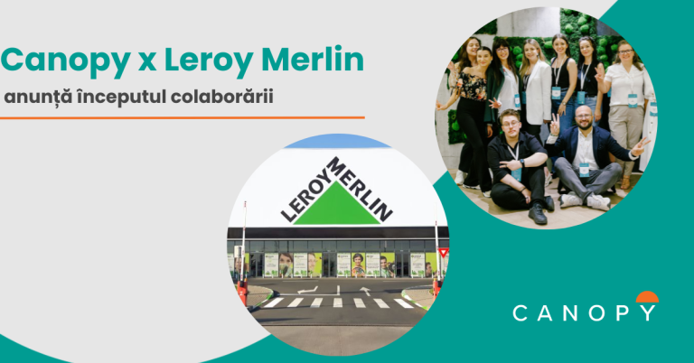 Colaborare între agenția Canopy și Leroy Merlin România 