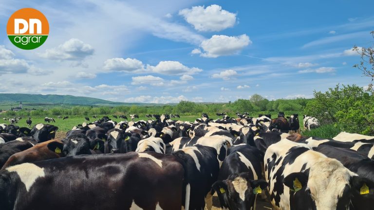 DN AGRAR înregistrează rezultate record în 2024: cifra de afaceri crește cu 16%,  profitul net cu 40%