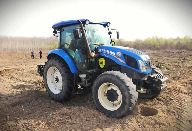 22 milioane de puieți forestieri plantați de Romsilva în campania de primăvară