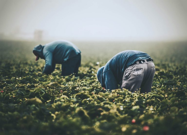 Evoluții pe piața muncii