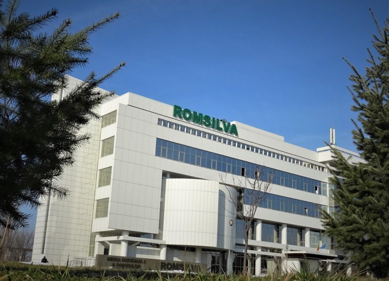 Romsilva a alimentat bugetul statului din profitul ei cu peste 700 milioane lei în ultimii cinci ani