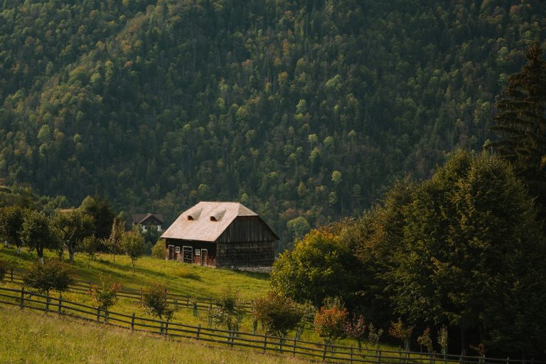 Tranziția energetică va adânci sărăcia populației din mediul rural românesc