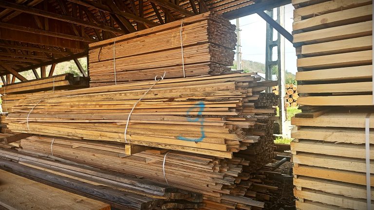 Romsilva sprijină reconstrucția imobilelor afectate de inundații