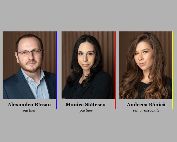 Ioan Dumitrașcu partner - 11