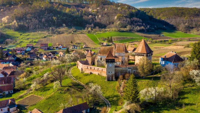 Manifest pentru protejarea patrimoniului cultural din România