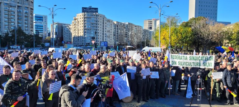 Silvicultorii protestează vineri, 25 octombrie 2024, la guvern