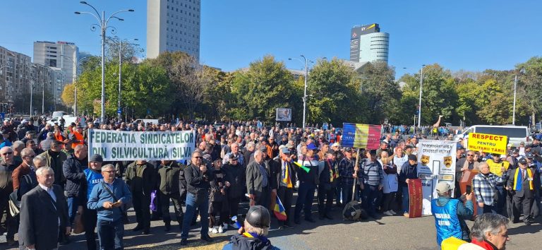 Silvicultorii protestează, din nou, la guvern