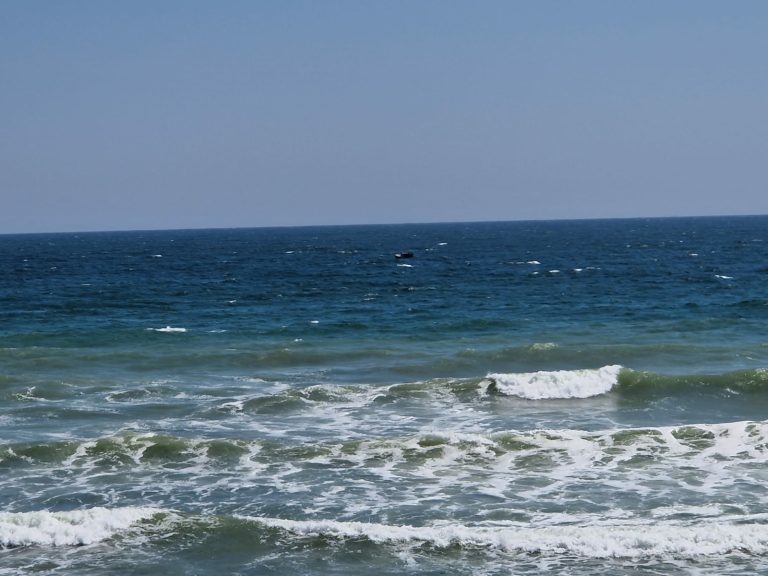 Zece perimetre din spațiul maritim adjudecate prin licitație publică 