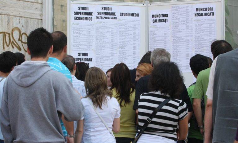 Rata şomajului în județul Ilfov, decembrie 2024