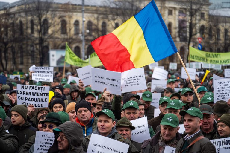 Silvicultorii protestează la Ministerul Mediului și intră în grevă de avertisment 