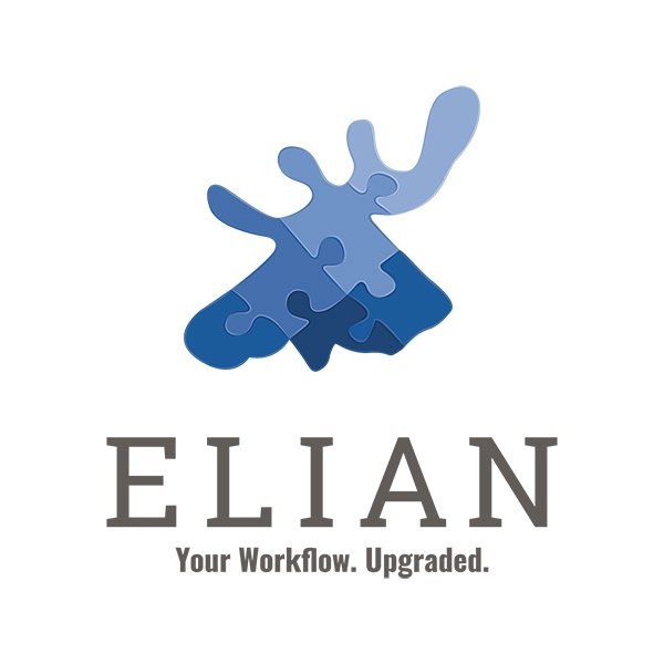 ELIAN Solutions a continuat să crească accelerat în 2024, atingând o cifră de afaceri de 25,4 milioane lei, cu 39% mai mare decât în 2023