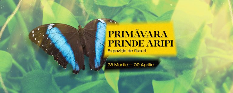 Expoziție de fluturi tropicali în București