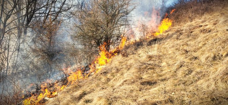 Patru sute de angajați ai Romsilva, implicați în stingerea incendiilor de pădure