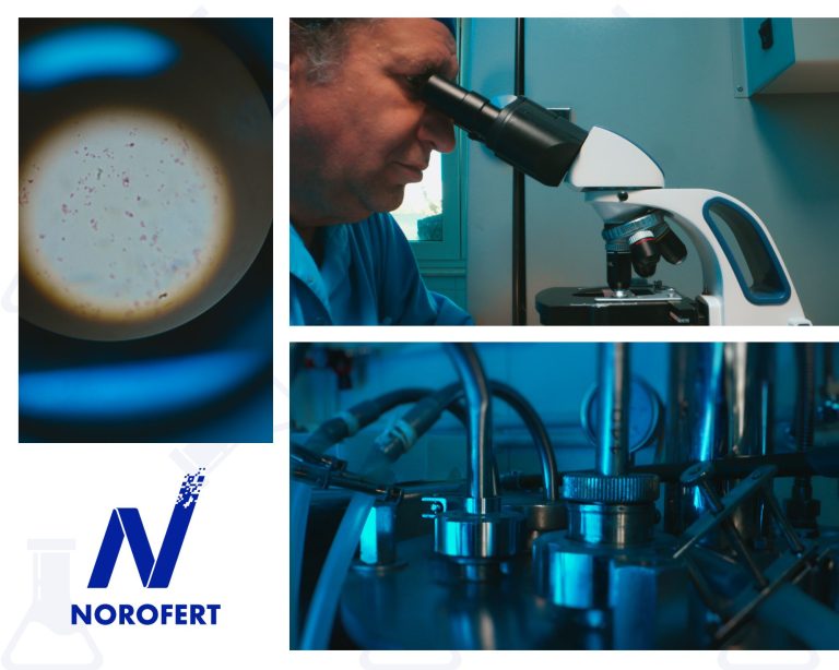 Norofert – cifră de afaceri de 45 milioane lei în 2024, o creștere de 12% comparativ cu anul precedent