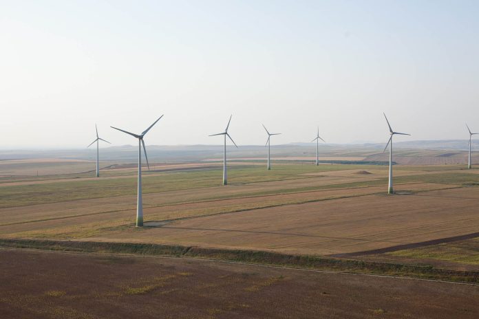 Parc Verbund_Casimcea_resize