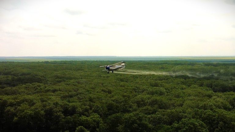 Lucrări de combatere a omizilor defoliatoare efectuate de Romsilva