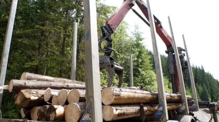 EUDR nu este o piesă de teatru politic. Pădurile nu se apără cu birocrație