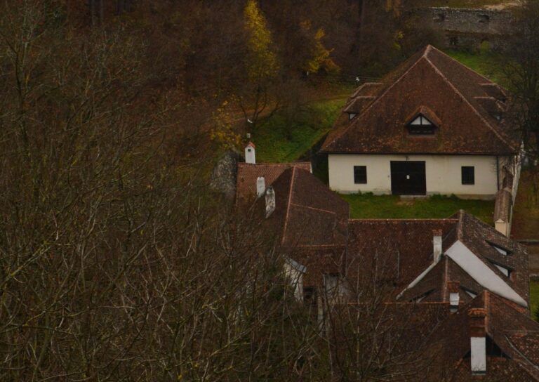 ORSE: Sărăcia energetică lovește cel mai puternic în mediul rural