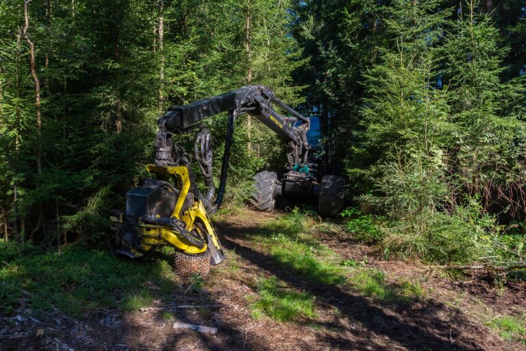 Siguranța e profesie. Profesioniștii poartă echipament