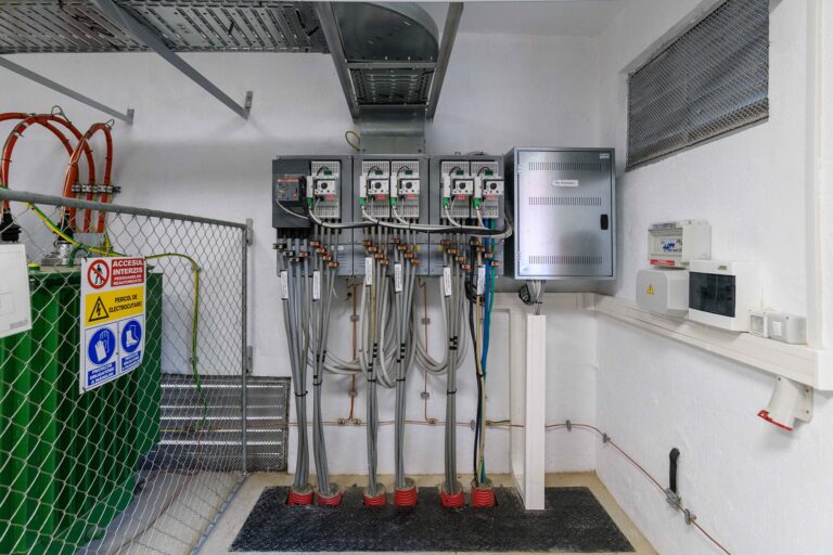 Rețele Electrice România începe lucrările pentru modernizarea infrastructurii energetice în Cenad, județul Timiș