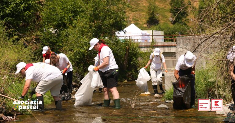 Restaurarea și protejarea mediului prin proiectul Refresh Moieciu 5.0  