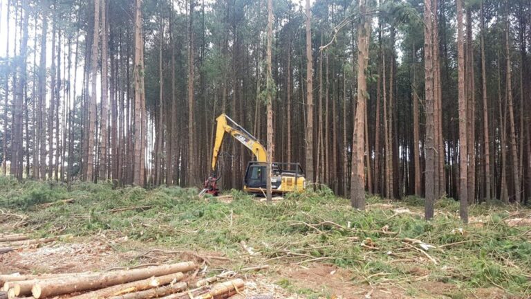 Ministerul Justiției solicită refacerea proiectului de HG privind „reforma” Romsilva! Proiectul conține erori de substanță, nu poate fi promovat în forma actuală. 