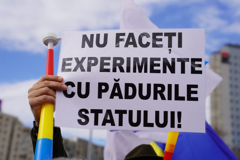 De ce insistă Ministerul Mediului, Apelor și Pădurilor să mențină un proiect greșit pentru reforma Romsilva? Ce interese sunt în joc?