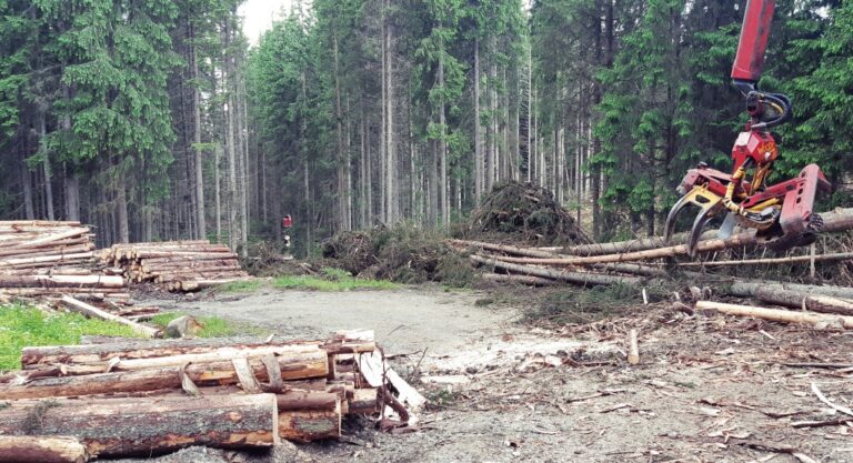 Ministra mediului, Diana Buzoianu, propune modificarea legii companiilor de stat