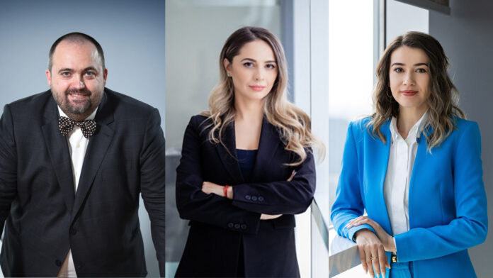 Emanuel Bancila Ana maria Damian Teona Braia EY