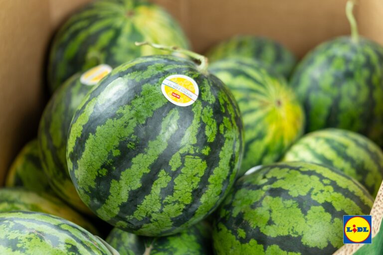 Calitate românească pe piețe europene: Lidl România a facilitat exporturi de fructe românești în valoare de peste 2,1 milioane de euro în vara anului 2025