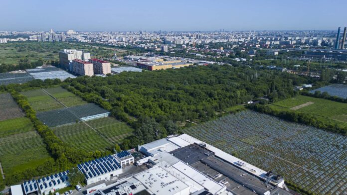 teren 10 ha RAM_resize