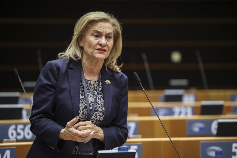 Grapini cere coerență în politicile UE și protejarea industriei europene în contextul tranziției verzi