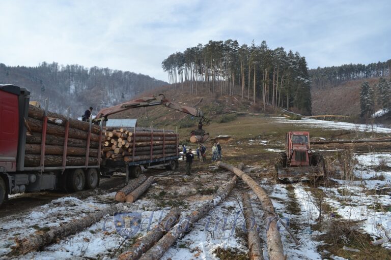 OUG nr. 63/2025 prin care se modifică legislația silvică nu îndeplinește condițiile de constituționalitate. Am sesizat Avocatul Poporului și cerem intervenția CCR! 
