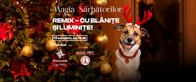 Promenada Craiova dă start sezonului festiv: spectacol de lumini și paradă a cățeilor îmbrăcați de sărbătoare