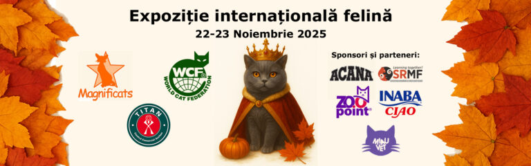 Centrul Comercial Auchan Titan găzduiește un WCF International Cat Show cu peste 180 de pisici de rasă