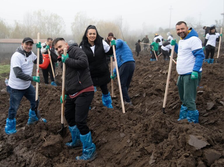 „Pădurea de Miere”, cu 120.000 de copaci plantați de Nestlé 