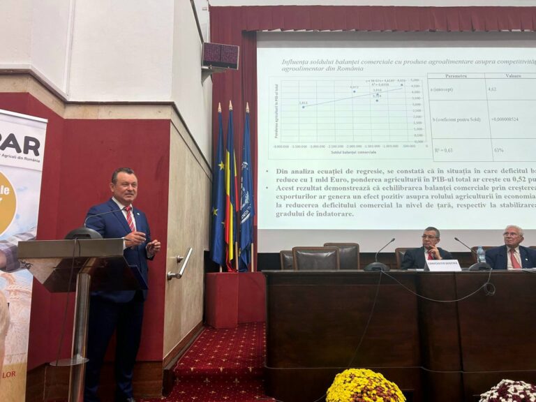 Prof. univ. dr. Nicolae Istudor, rectorul Academiei de Studii Economice din București: „Competitivitatea este cea mai importantă problemă a României la această vreme”  