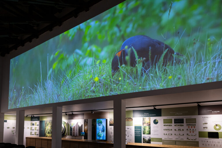 Parcul Natural Vânători Neamț, deschis pentru Școala Altfel timp de 365 de zile pe an