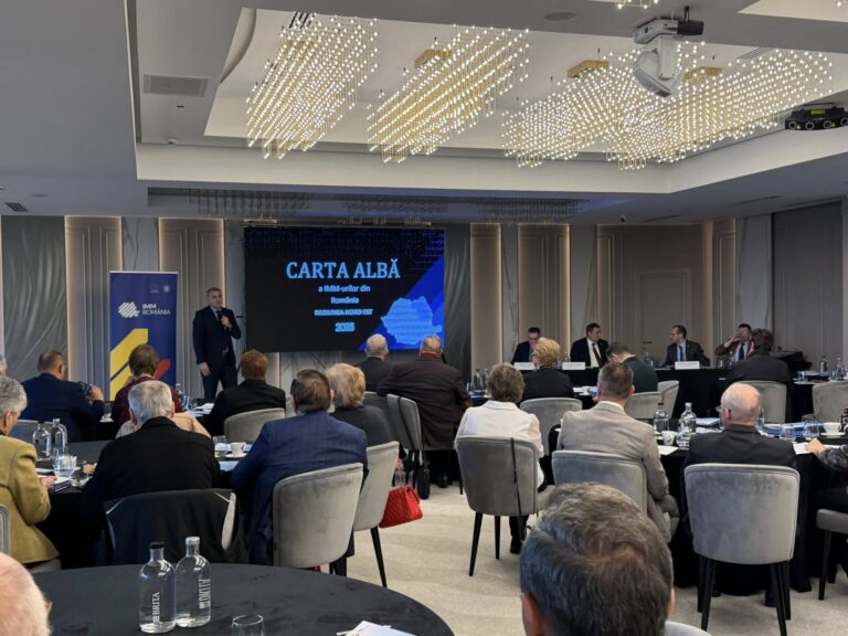 IMM România – Mediul antreprenorial și perspectivele dialogului social