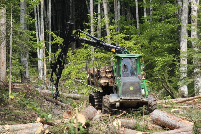 ASFOR trasează „Cele 4 Linii Roșii”: Strategia sectorului forestier pentru 2026