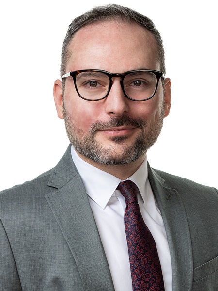 Protopopescu Tiberiu_Schoenherr Press online