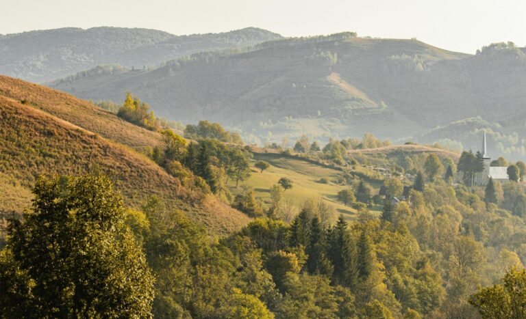 Zona montană a României. Economia montană în secolul XXI