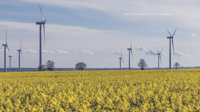 EPG pexels via canva