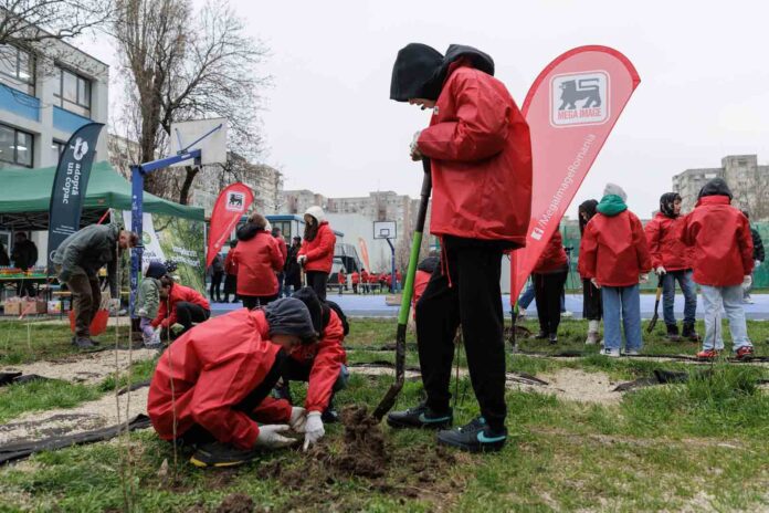 Mega Image Plantare 2026 Bucuresti si Ilfov_RESIZE