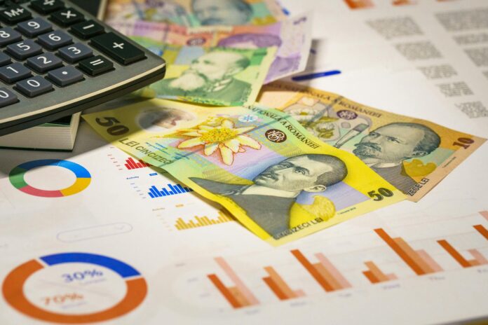 lei ron bani money pexels-jakubzerdzicki-27641079