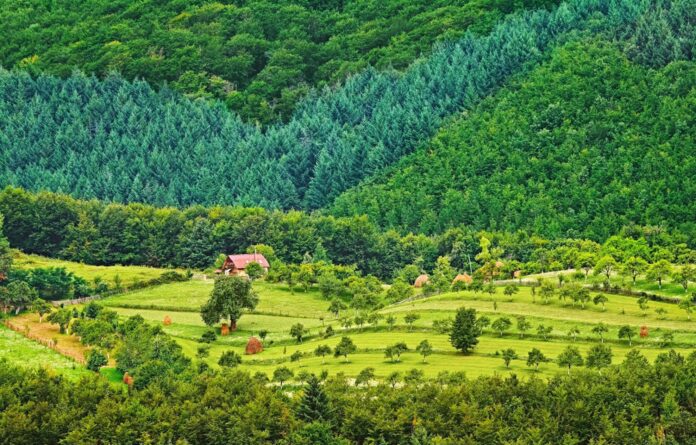Biodiversitate_Economistul_resize ©Laurentiu Ciornei