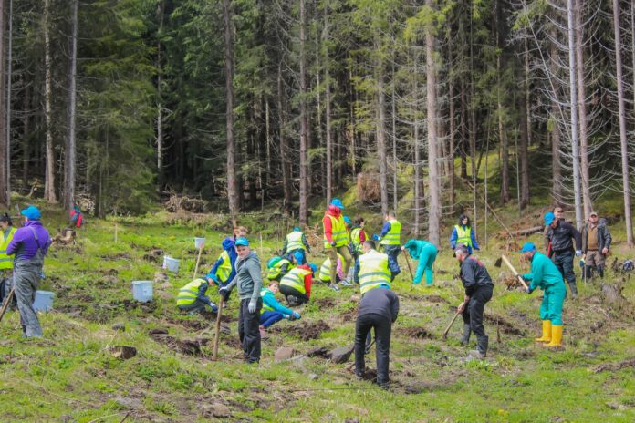 Impaduriri ©Impaduriri cu Bucovina