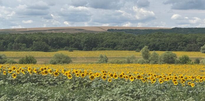 agricol