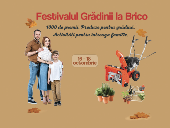 Festival