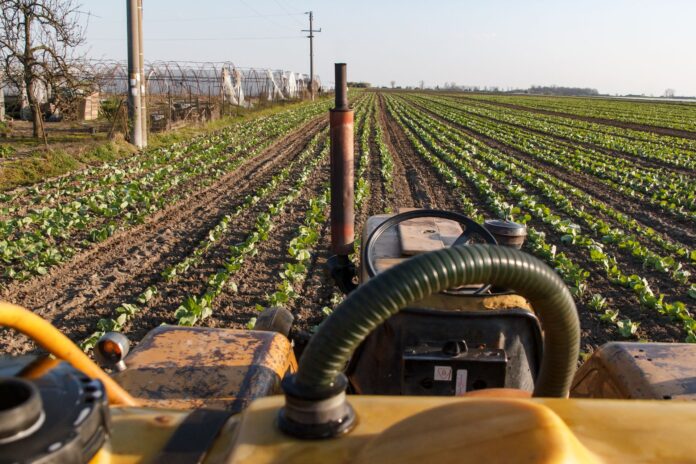 agriculture pexels-stitch-20280090